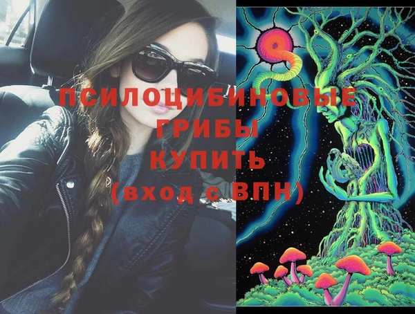 твердый Зеленодольск