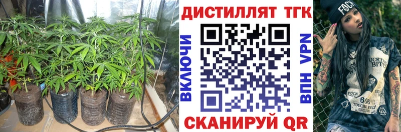 Купить закладки  Гороховец  Дистиллят ТГК концентрат 