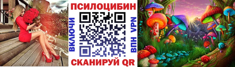 Псилоцибиновые грибы Cubensis  Купить  Гороховец 