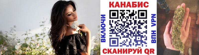 Конопля Bruce Banner  Купить где  Гороховец 